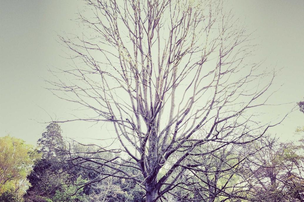 Occaecati voluptas omnis