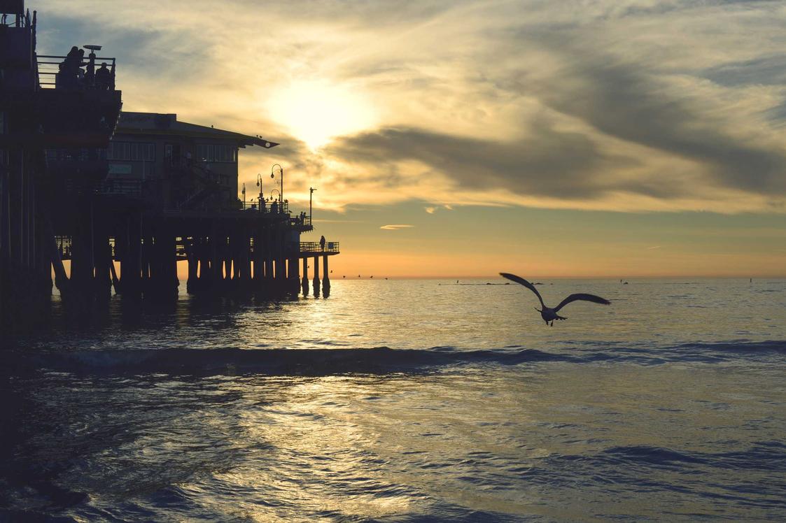 A seagull flying over the ocean near a pier at sunset. The sun is setting behind the pier.
