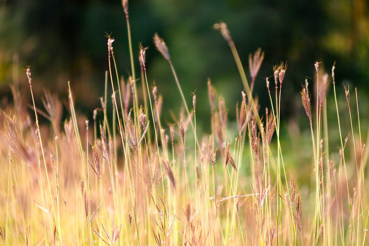 At voluptas possimus nam autem expedita