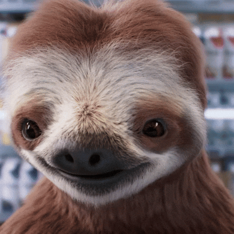 A smiling sloth with brown and white fur looks directly at the camera. Its eyes are dark and shiny.