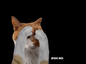 Cat GIF By Content Creation Agentur
